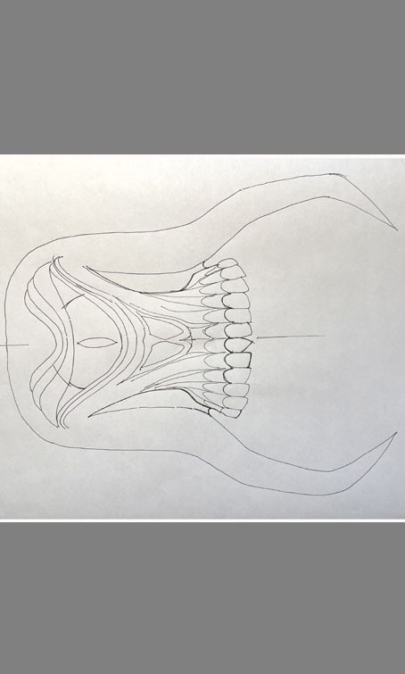 Yorks Halloween Costume 2